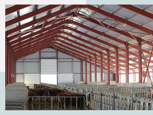 Строительство коровников в Бердске