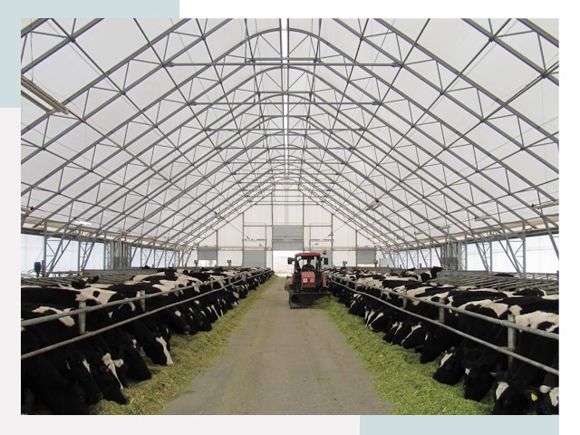 Тентовые коровники в Бердске от 625 руб. - Надежно и доступно