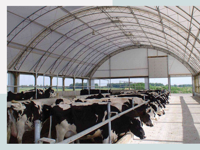 Тентовые коровники в Бердске